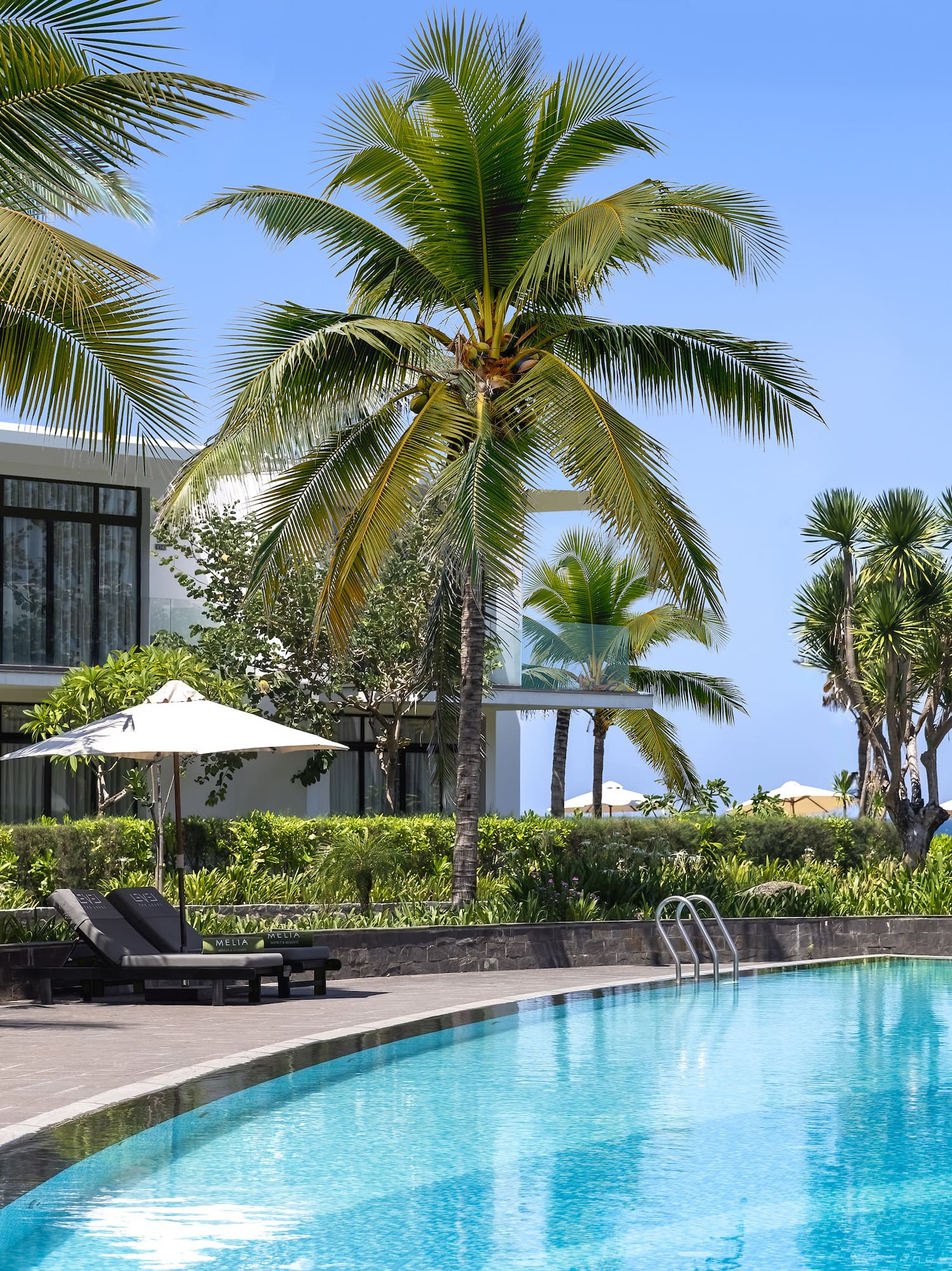 a swimming pool with palm trees and a building
