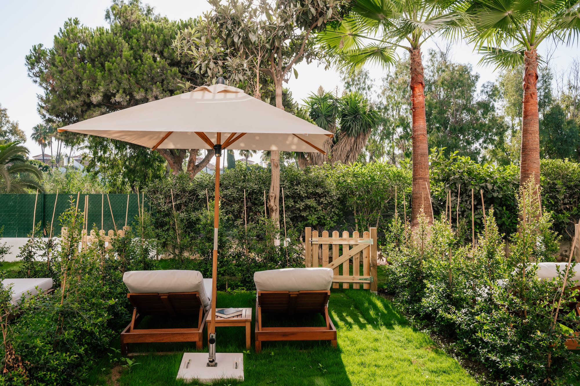 a lawn chairs and umbrella in a backyard