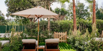 a lawn chairs and umbrella in a backyard