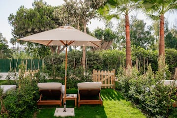 a lawn chairs and umbrella in a backyard