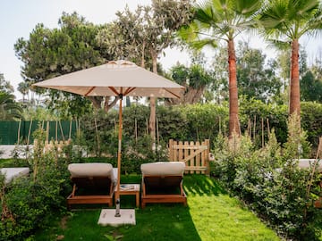 a lawn chairs and umbrella in a backyard