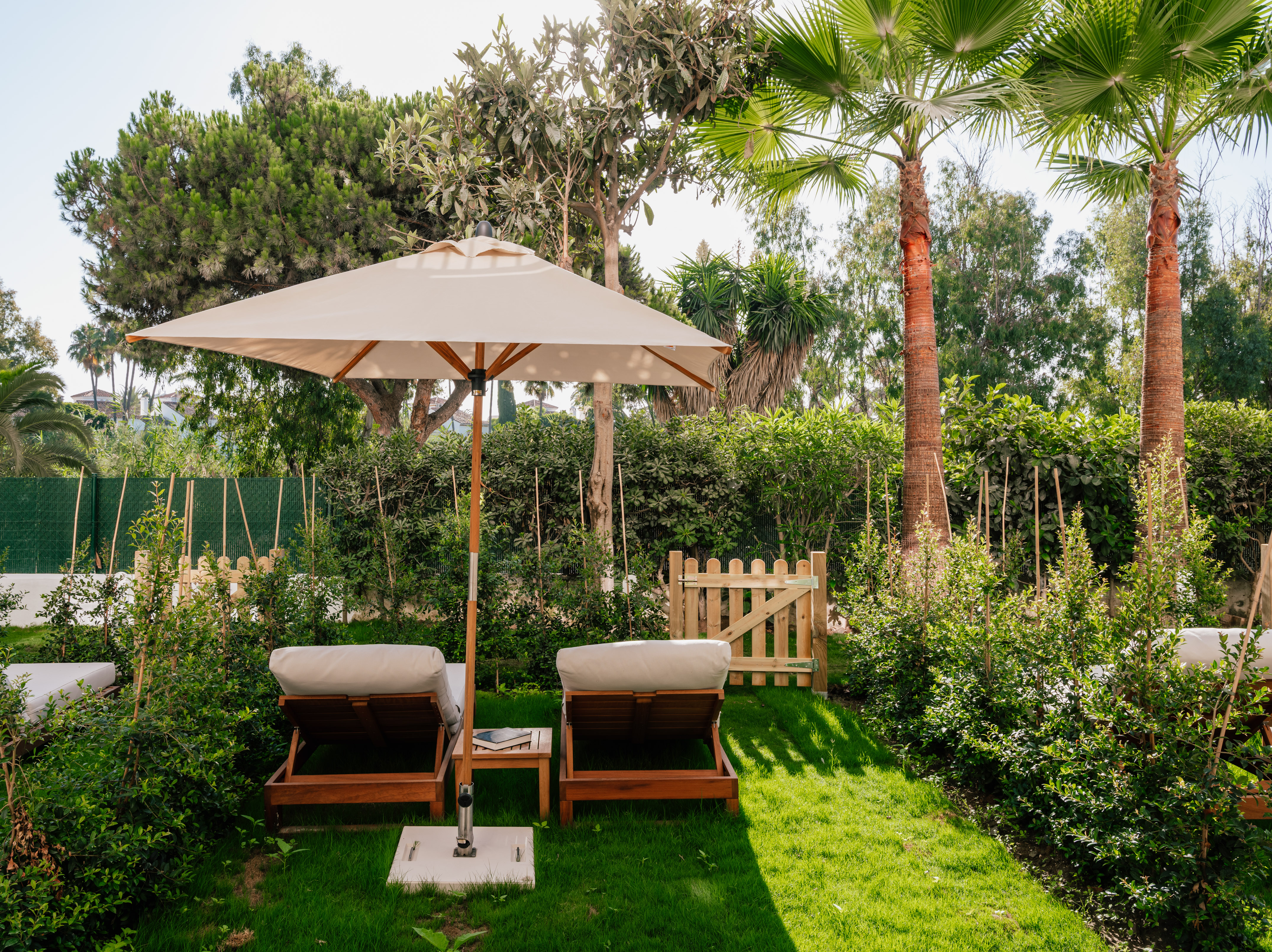 Shady resort garden with lounge chairs, umbrella, and tropical palm trees.