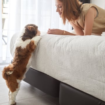 a woman and a dog looking at a bed