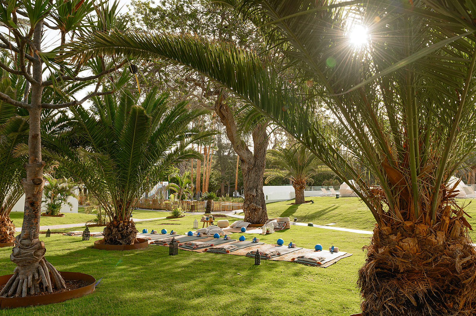 a group of palm trees with yoga mats and balls on a mat