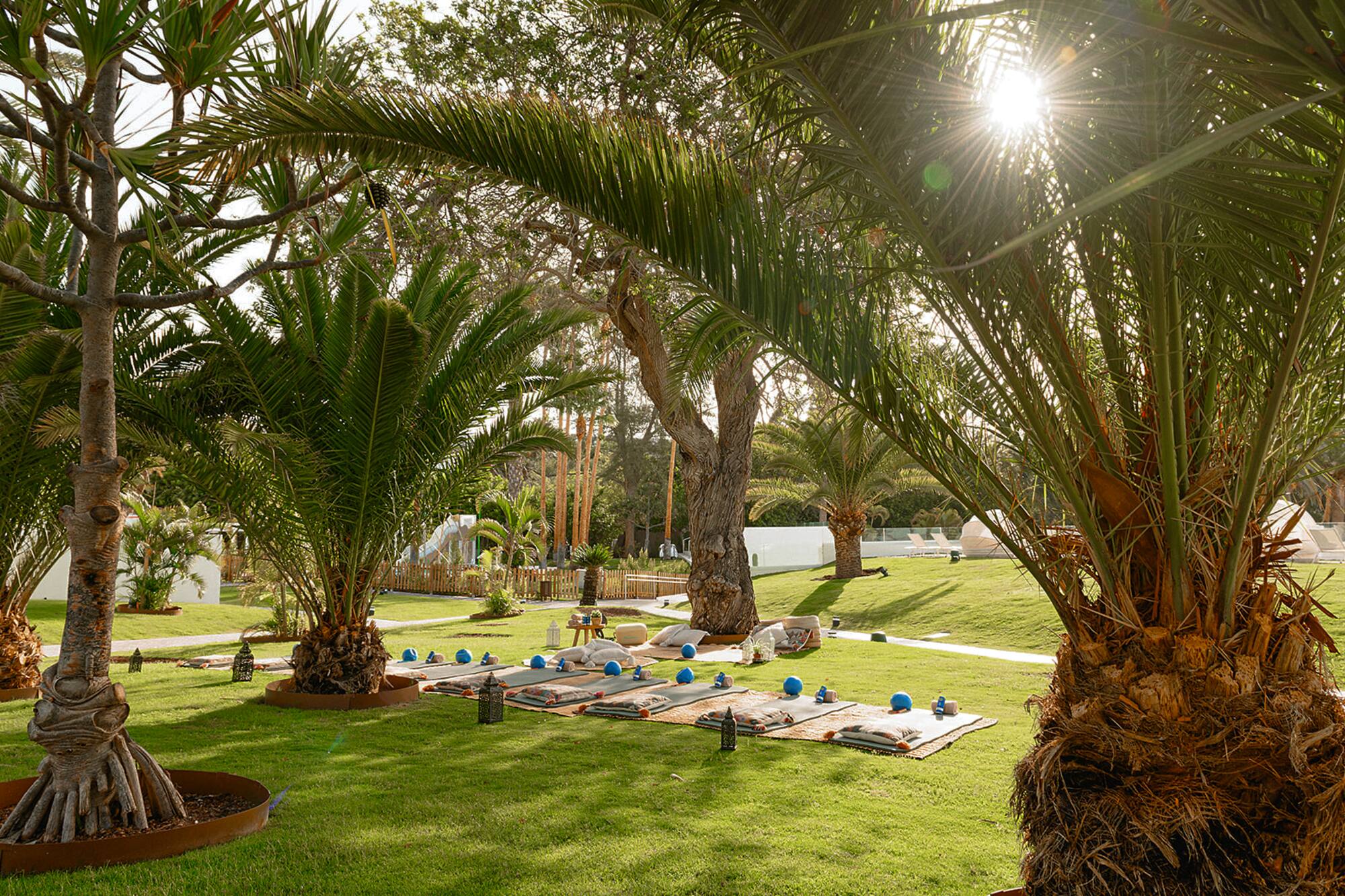 a group of palm trees with yoga mats and balls on a mat