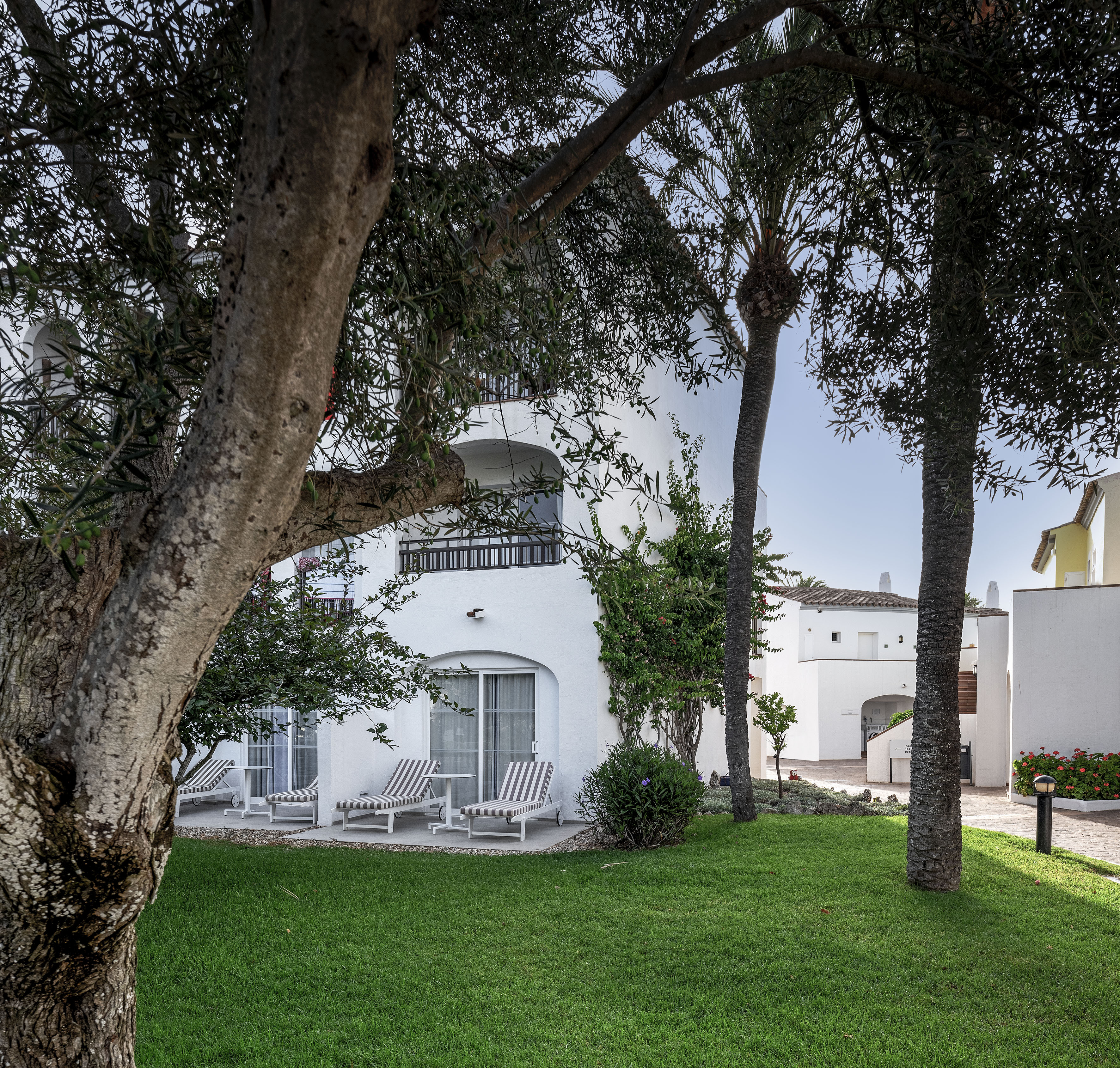 White resort building with green lawn, palm trees, and patio lounge chairs.