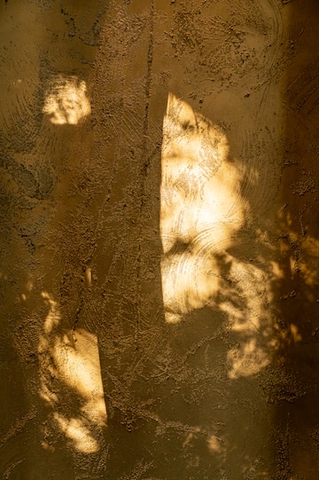 a tree shadow on a wall