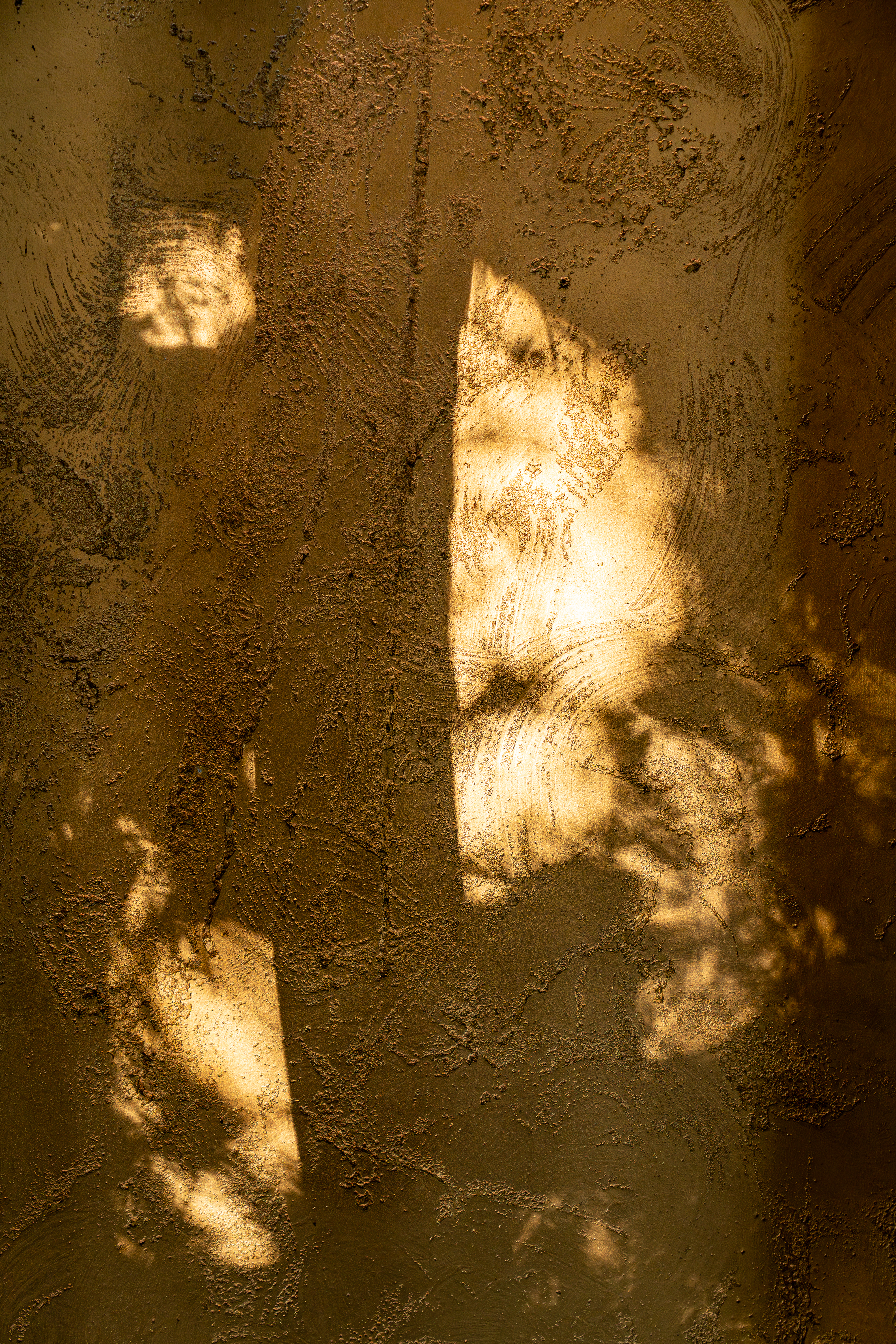 a tree shadow on a wall