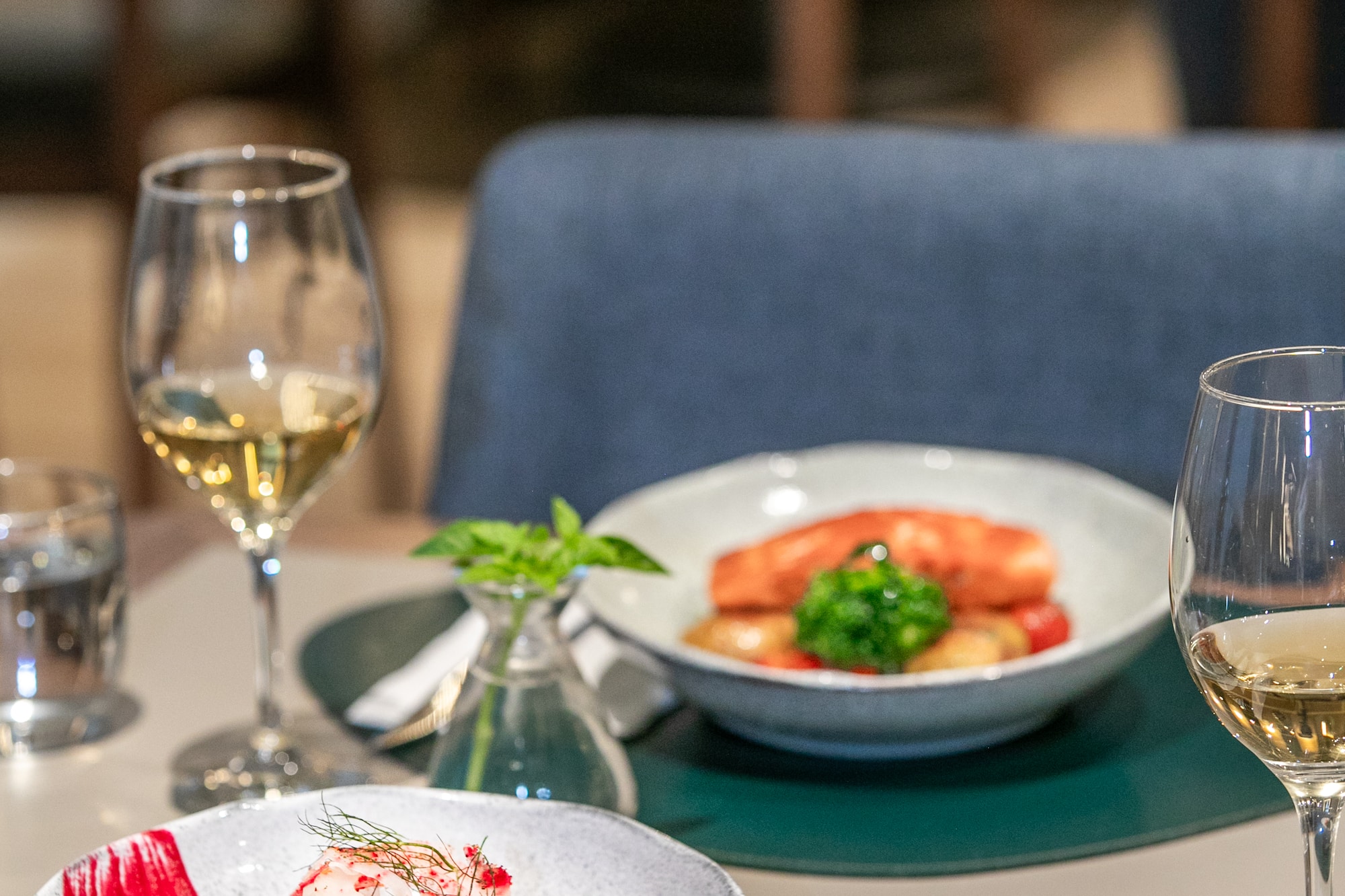 Two elegant fish dishes: white fish with shrimp, salmon with vegetables, white wine.