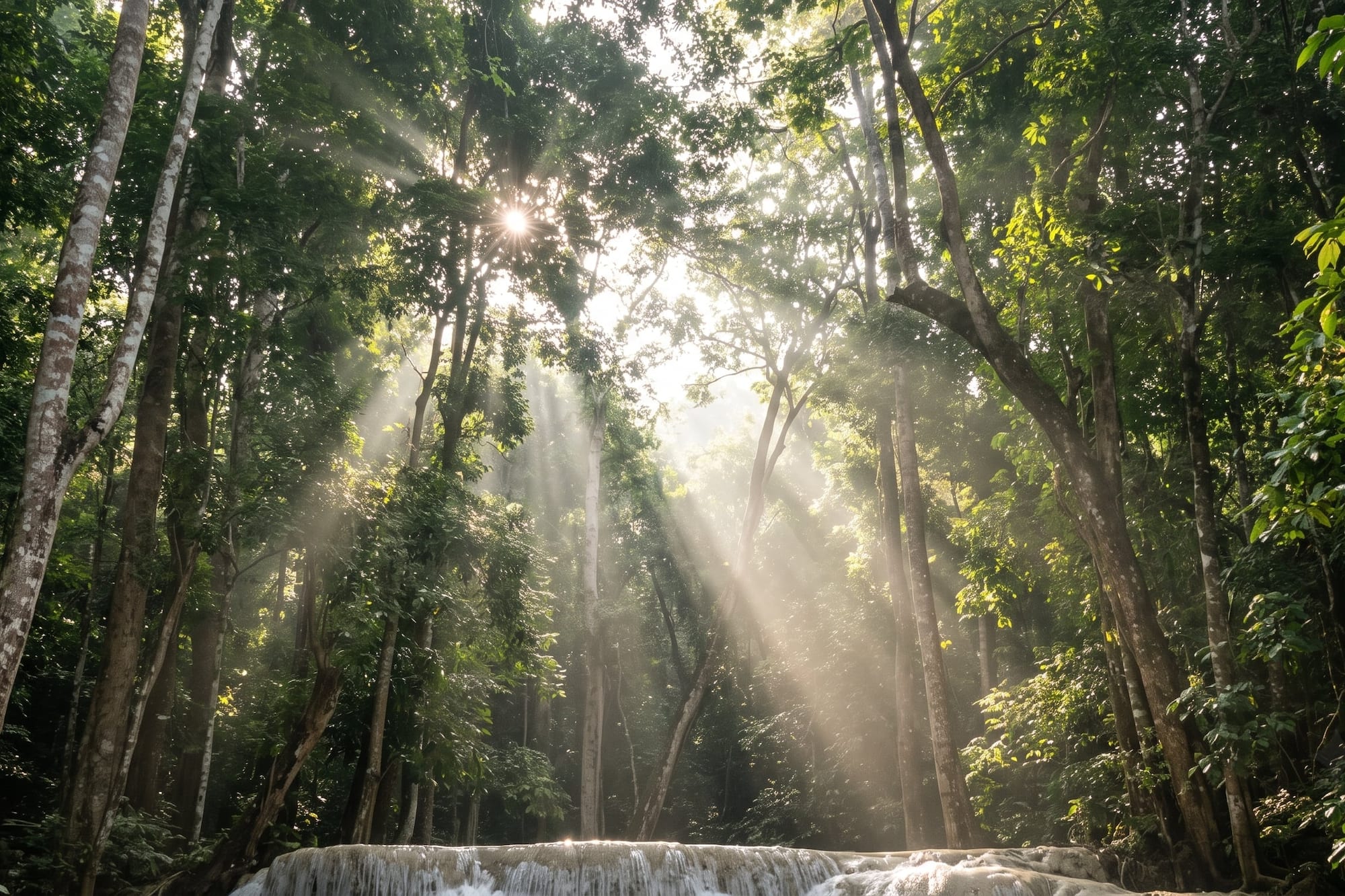 Lush jungle forest with sunbeams shining through canopy onto a white waterfall.