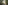 Lush jungle forest with sunbeams shining through canopy onto a white waterfall.