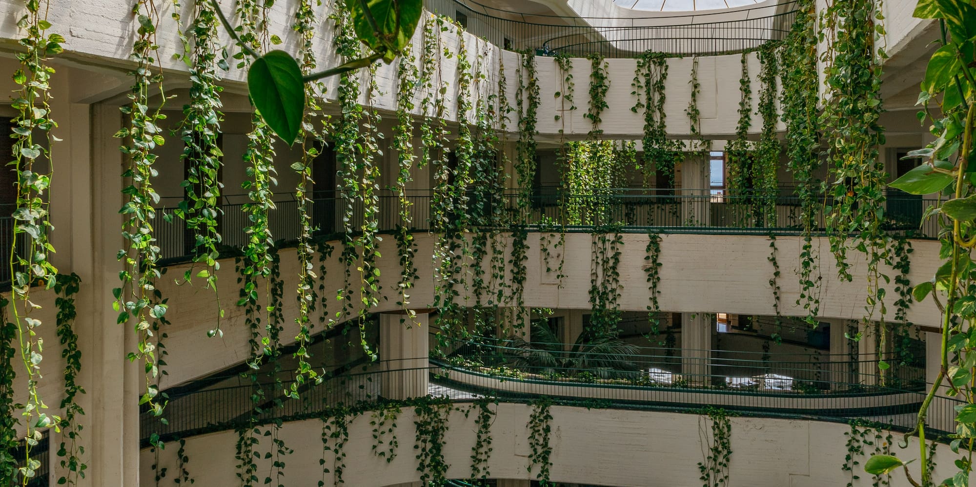 a building with many floors and a skylight
