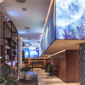 a room with a large wall and plants