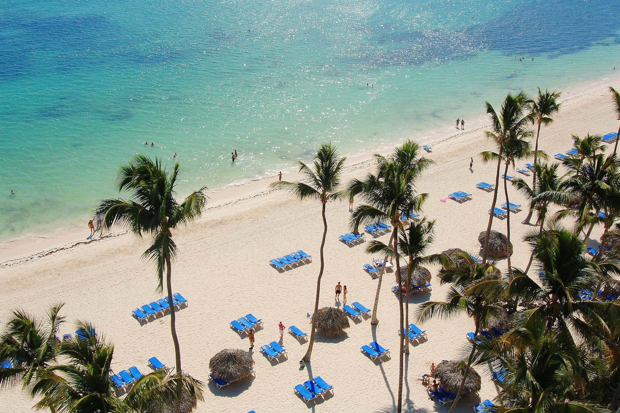 Playa tropical con arena blanca, mar turquesa, palmeras y tumbonas azules.