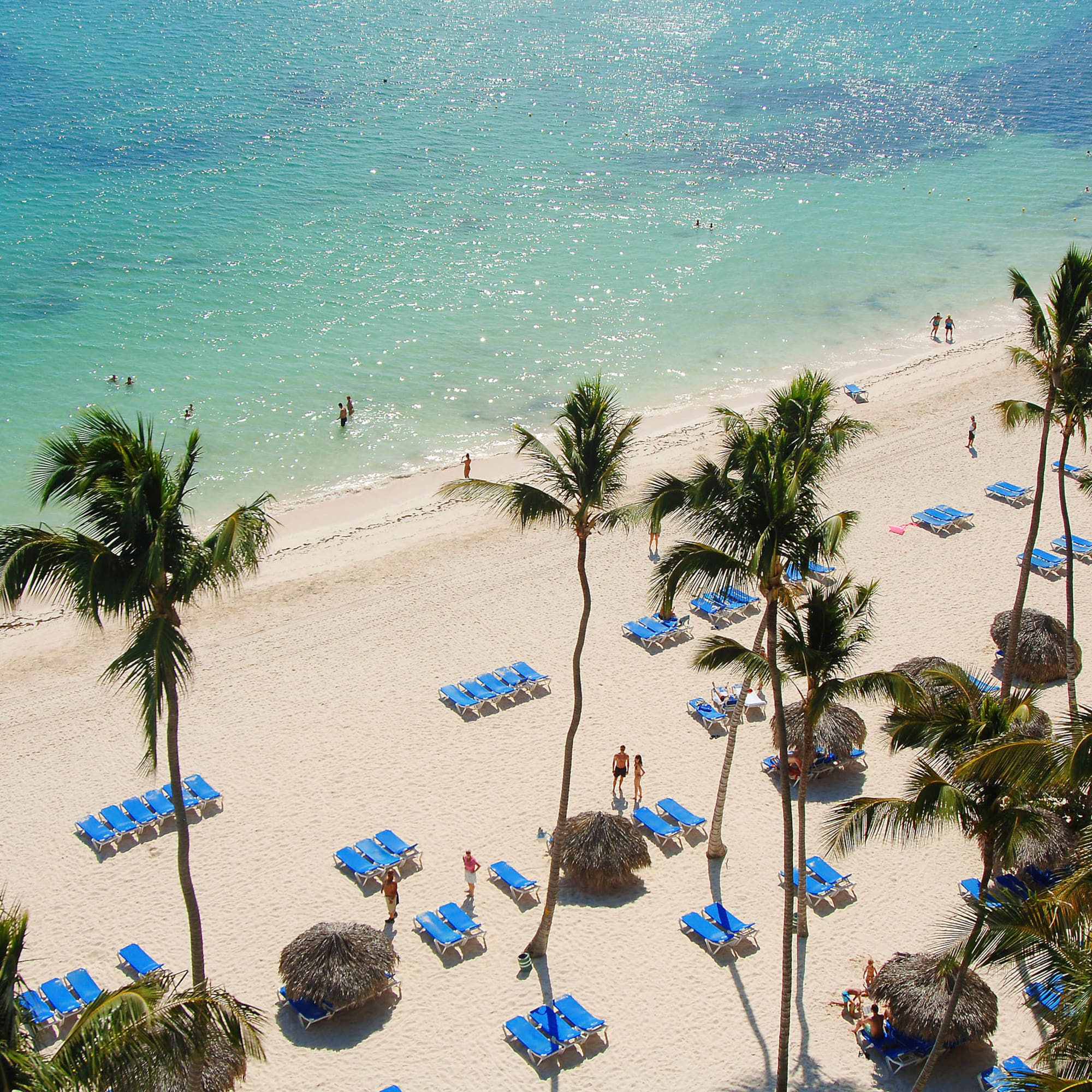 Playa tropical con arena blanca, mar turquesa, palmeras y tumbonas azules.