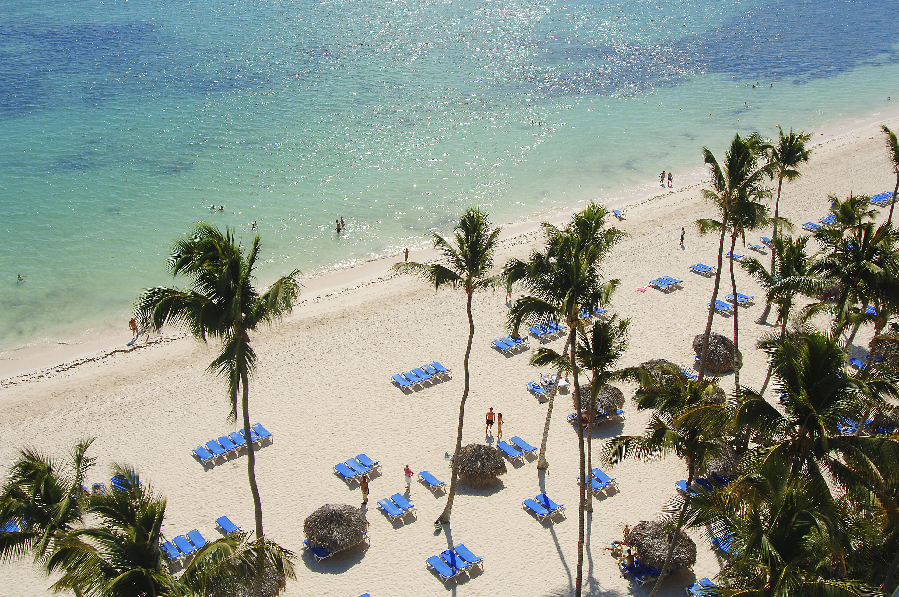 Playa tropical con arena blanca, mar turquesa, palmeras y tumbonas azules.
