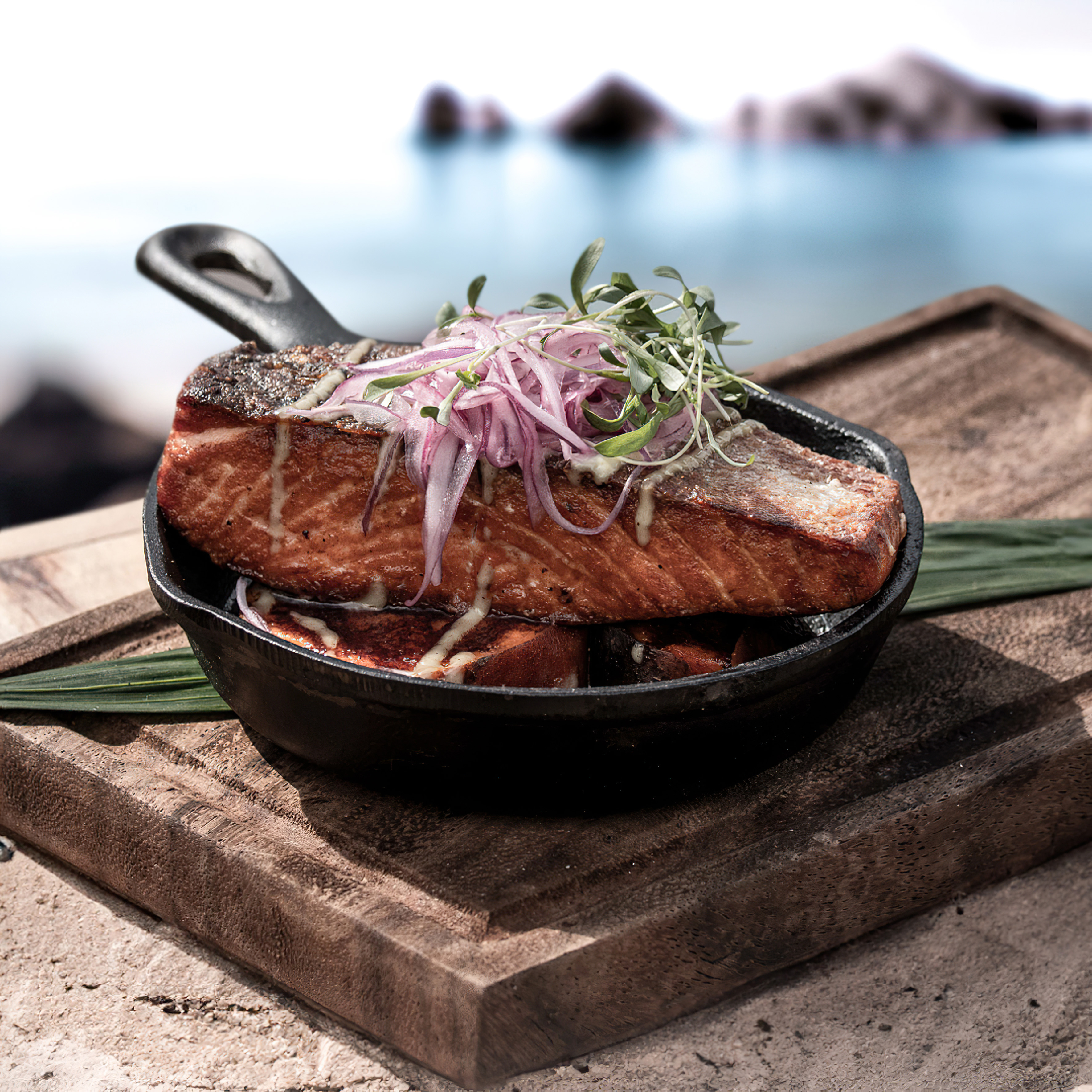 Grilled salmon with pickled red onion, microgreens in skillet, ocean background.