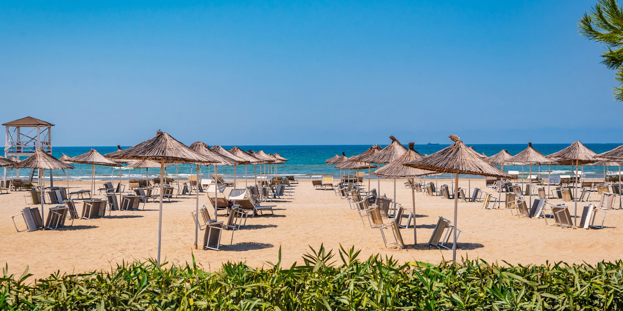 a beach with umbrellas and chairs