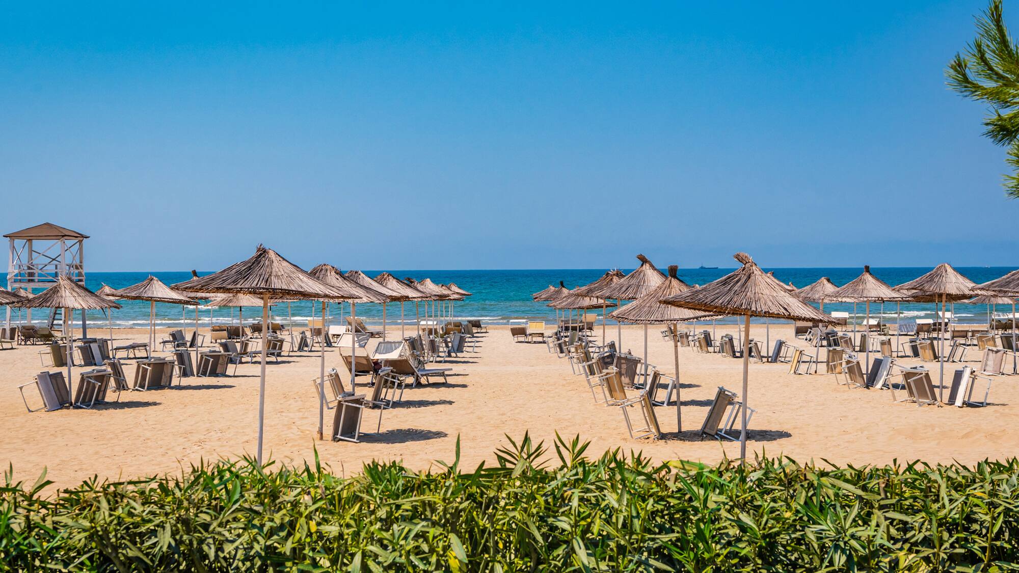 a beach with umbrellas and chairs