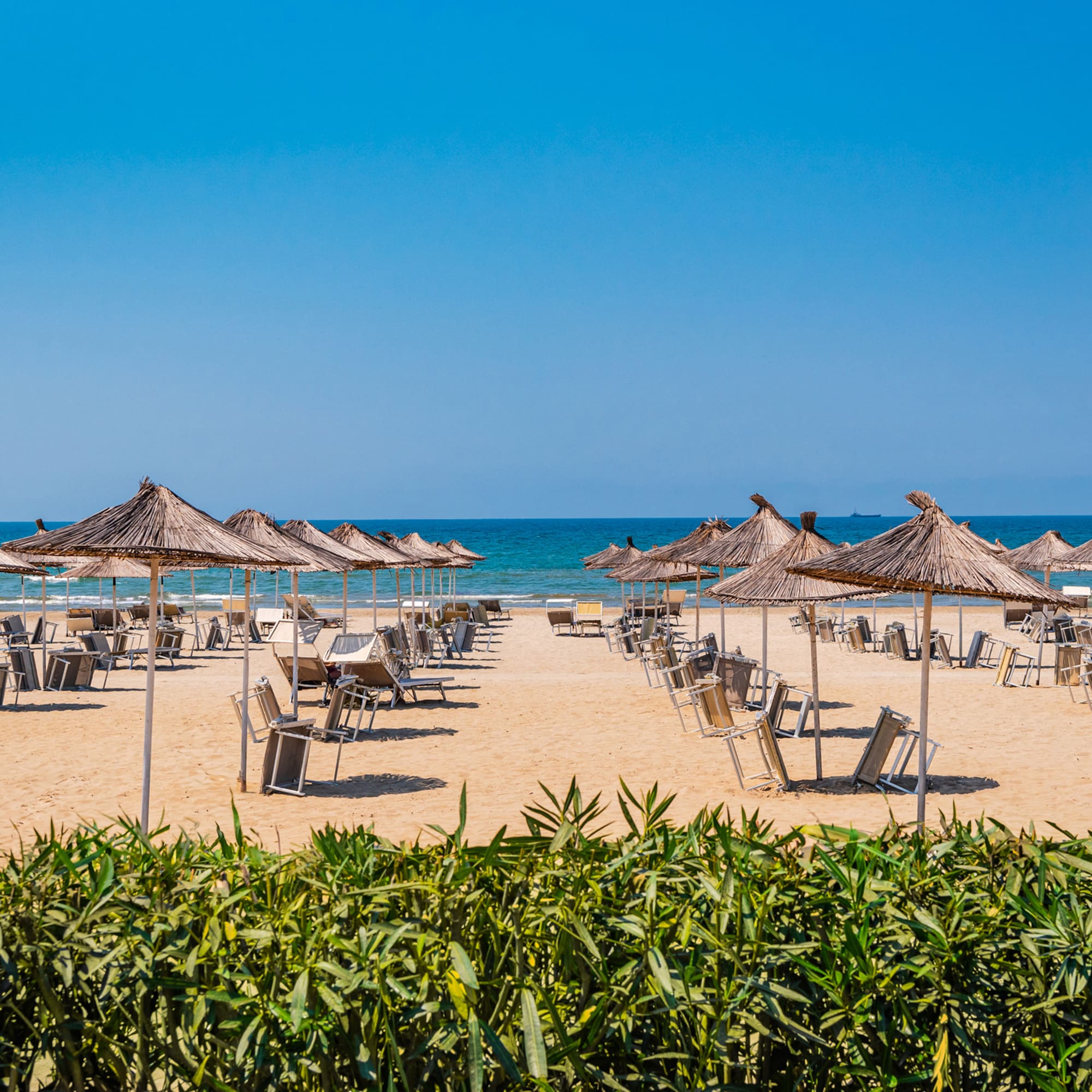 a beach with umbrellas and chairs
