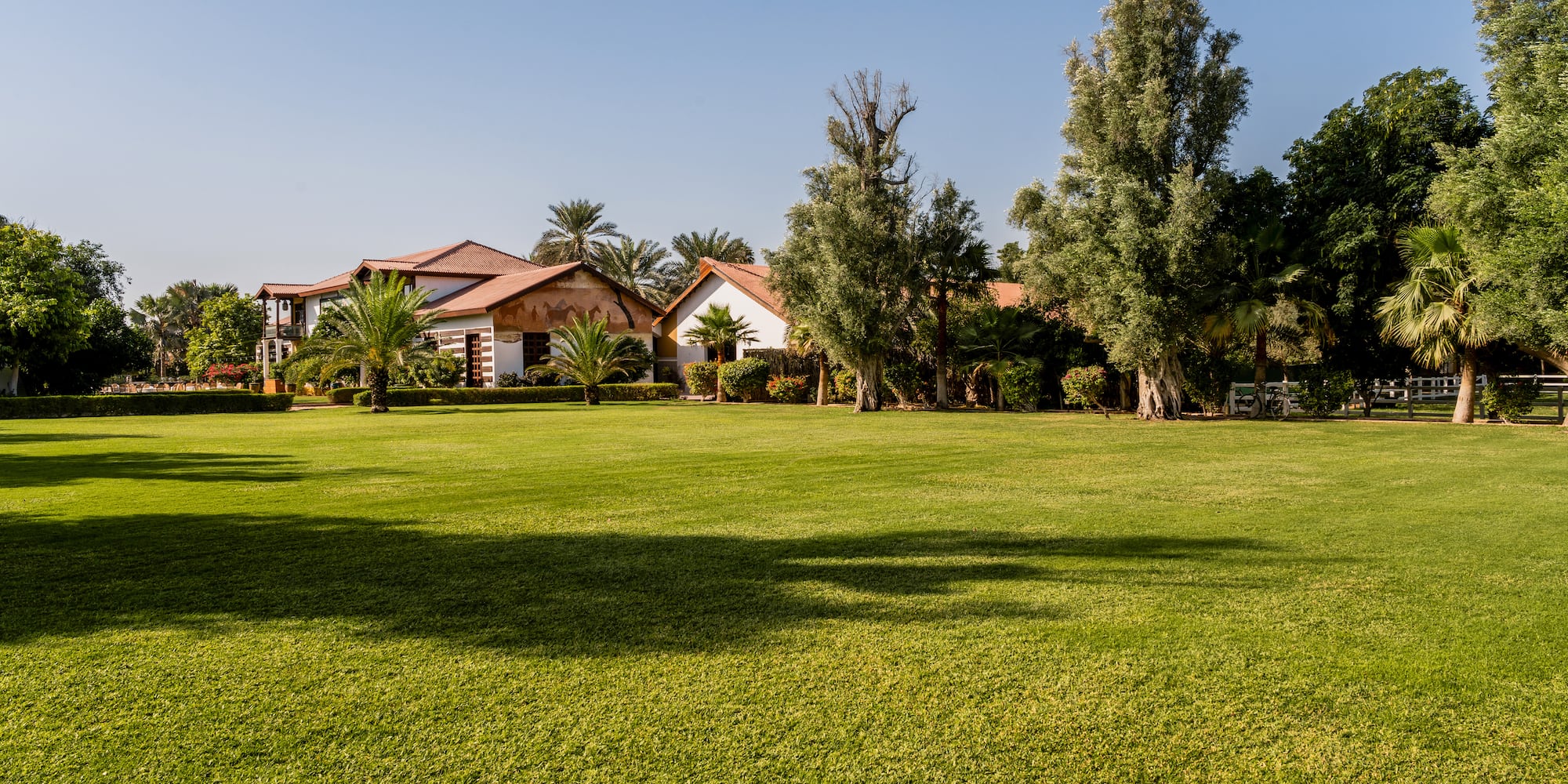a large lawn with trees and houses in the background