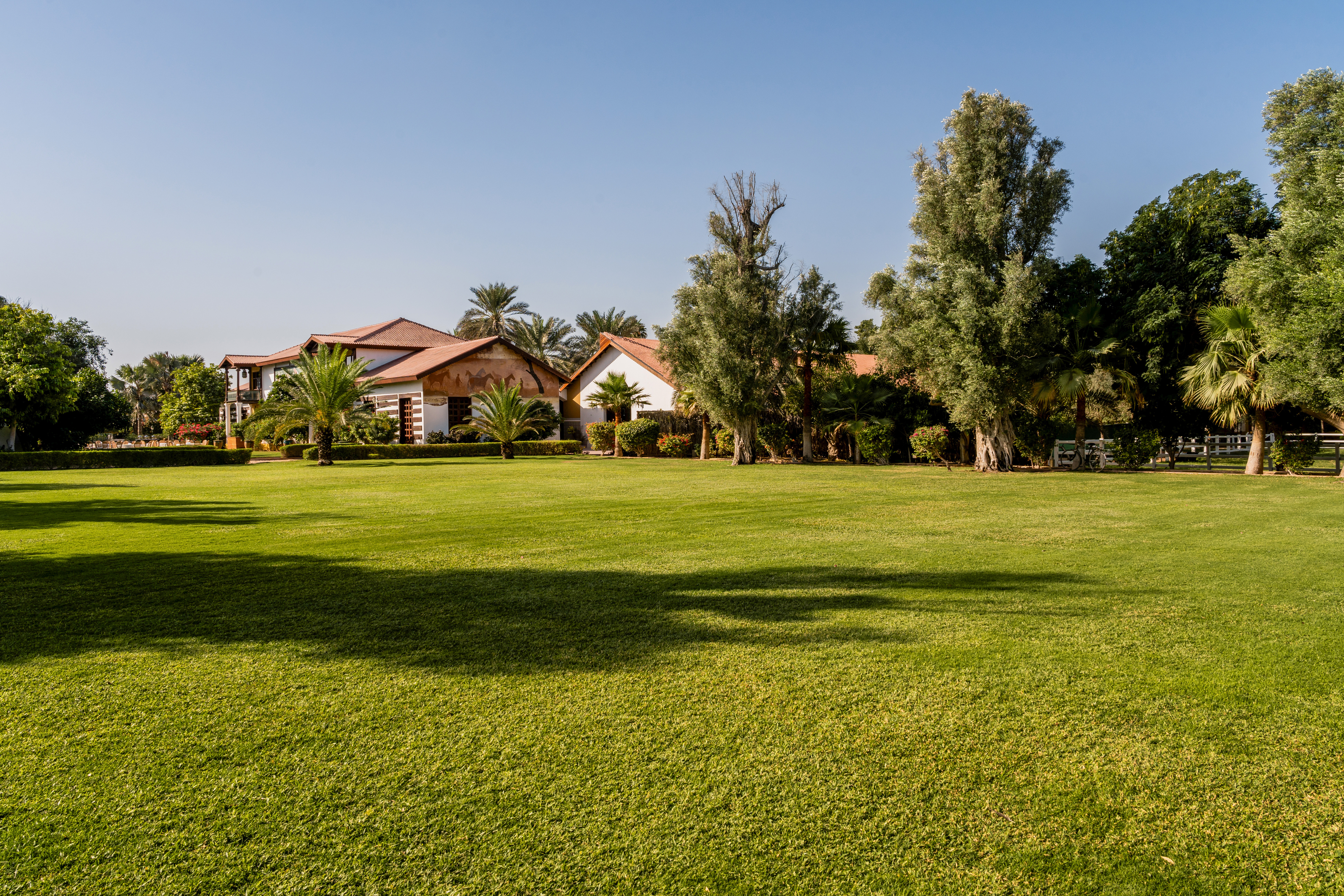 Sunny landscape with a large green lawn, white villa buildings, and palm trees.