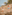 Two women on tropical rocky beach, one shielding eyes from sun, palm trees.