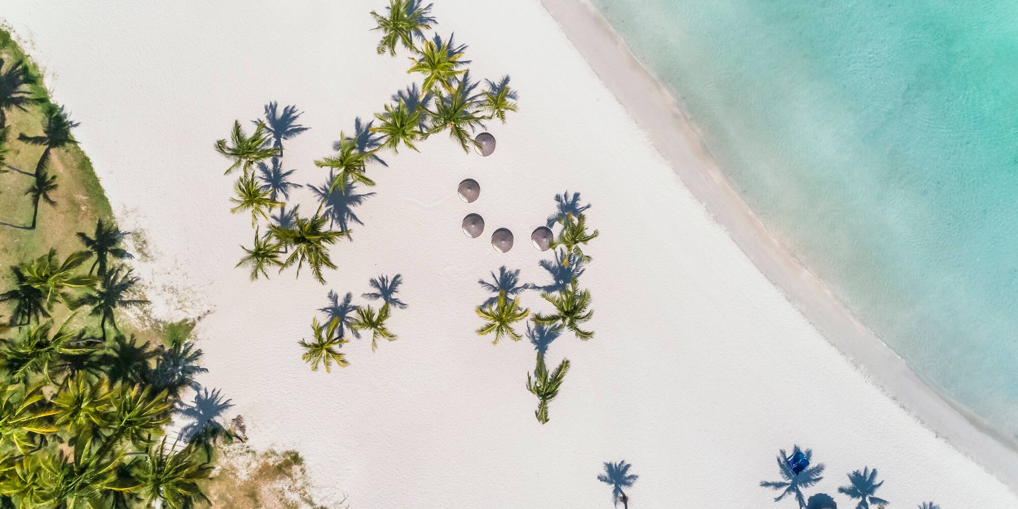 a beach with umbrellas and palm trees