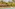 Tropical swimming pool with lounge chairs, thatched palapas, and palm trees.