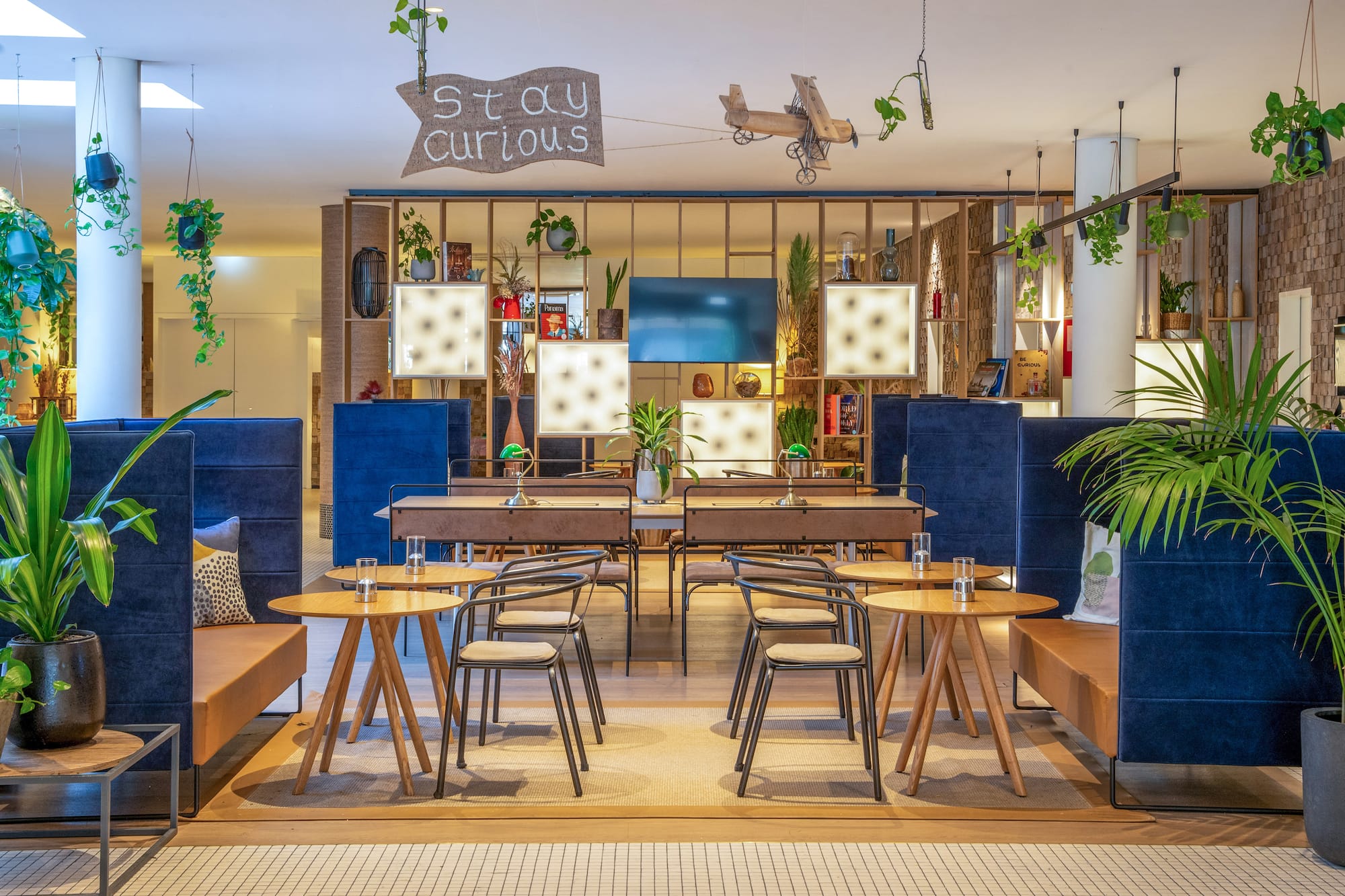 Contemporary lounge design with blue booths, wooden furniture, and lush plants.