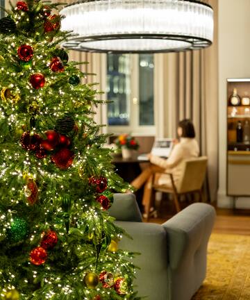 a christmas tree in a living room