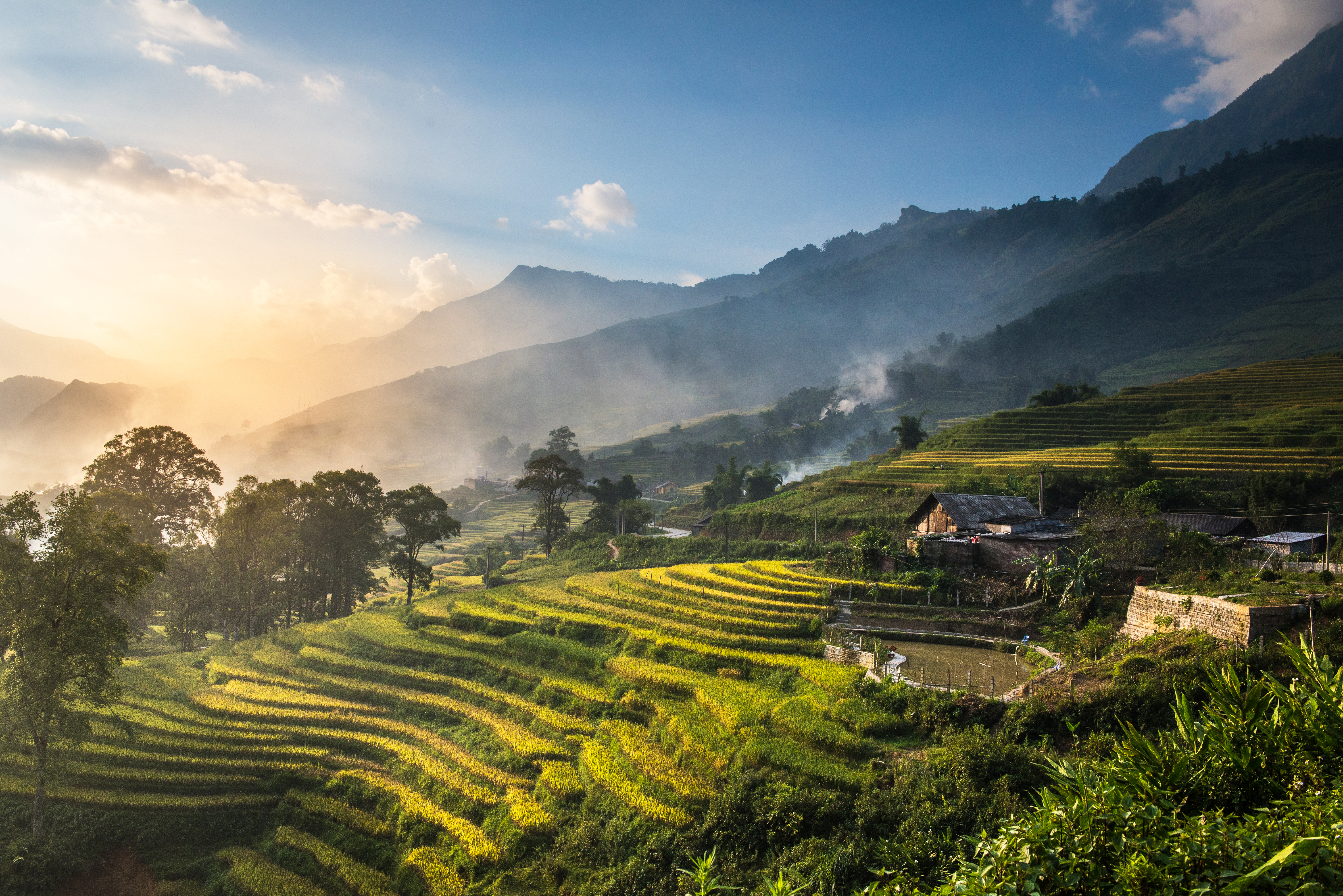 Golden terraced rice fields, misty mountains, and houses at sunrise in Vietnam.