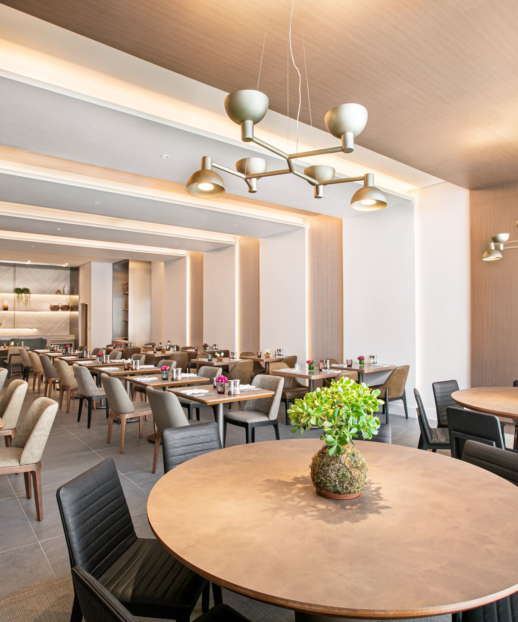 a room with tables and chairs