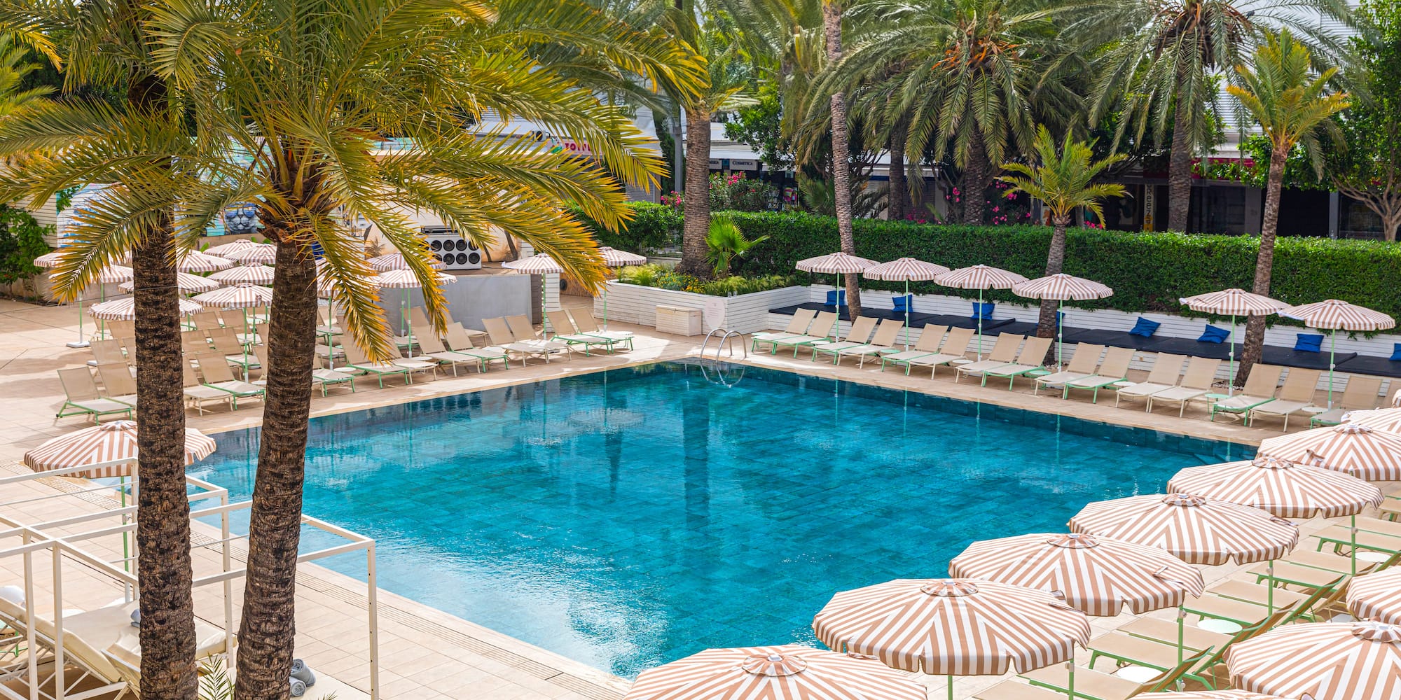 a pool with umbrellas and palm trees