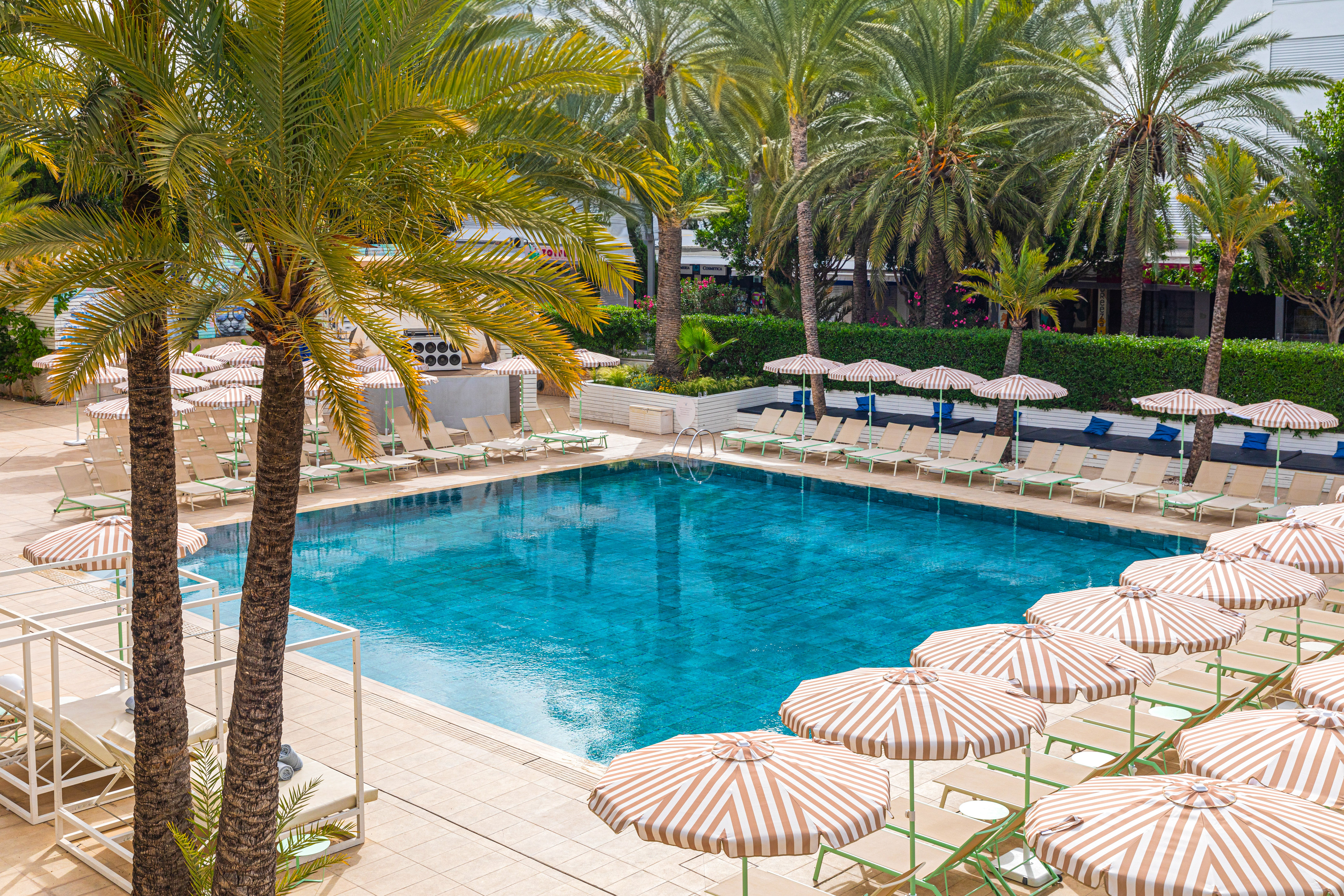 Resort swimming pool with palm trees, striped umbrellas, and lounge chairs.