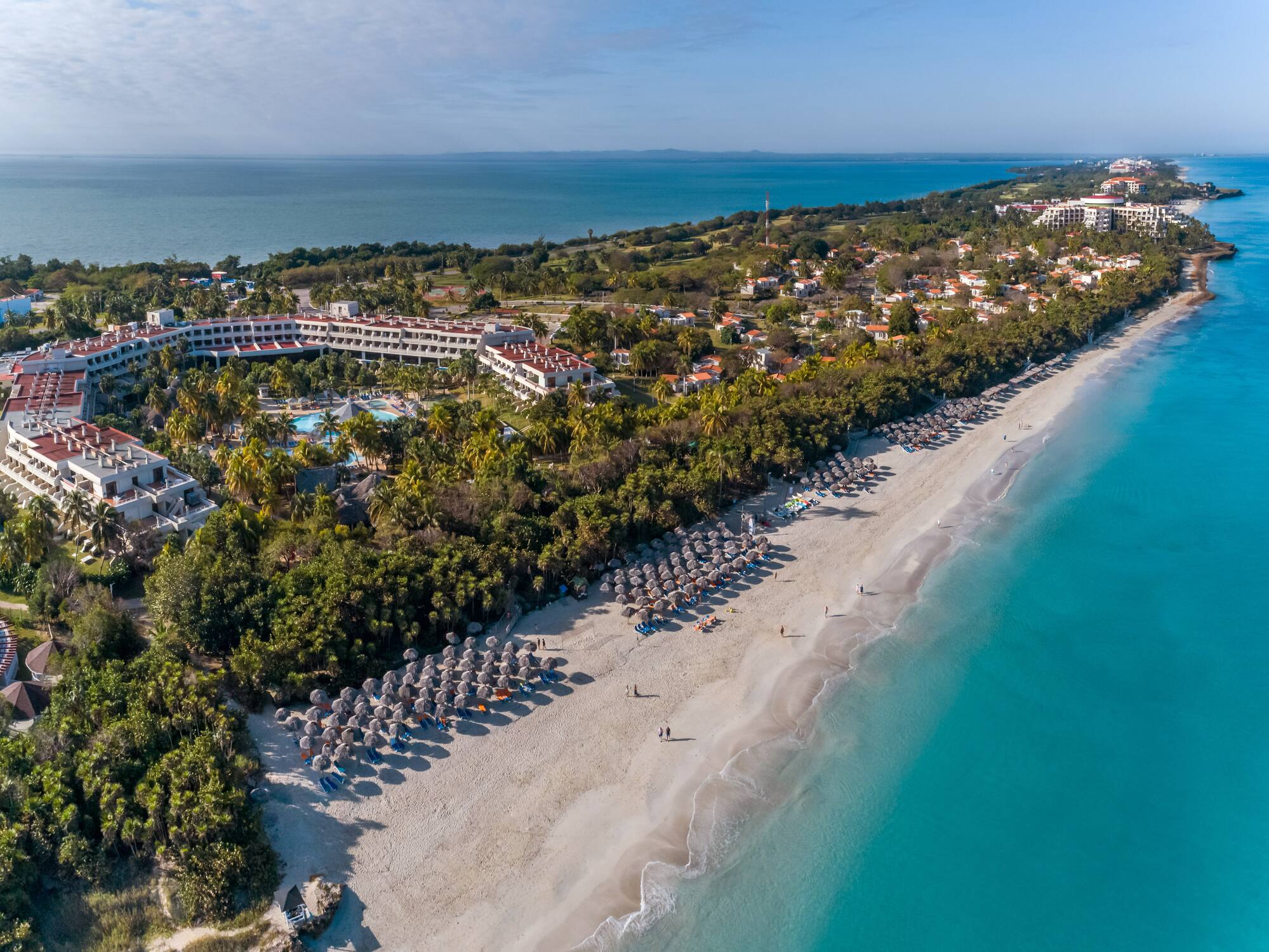 a beach with umbrellas and buildings and trees