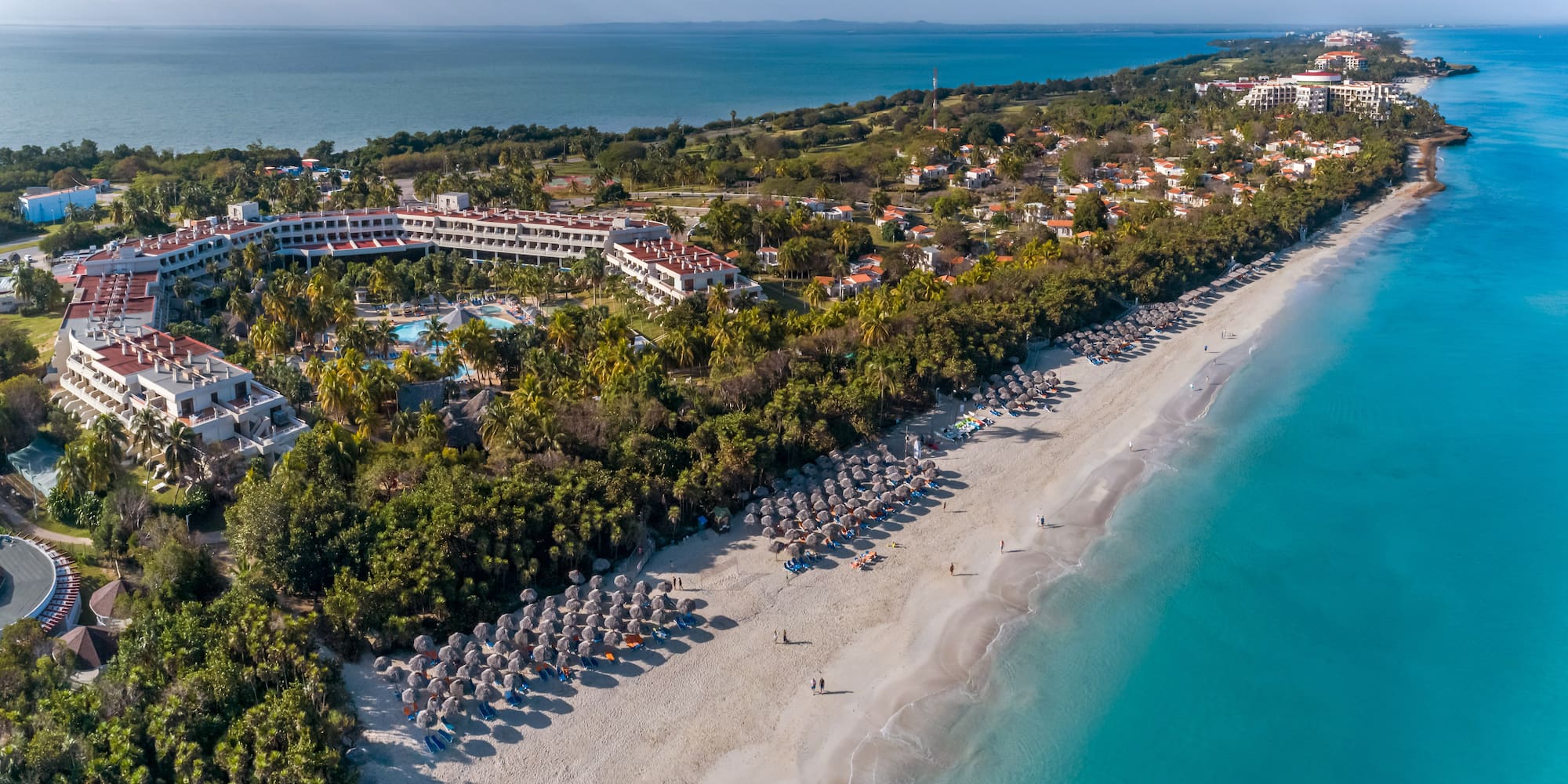a beach with umbrellas and buildings and trees
