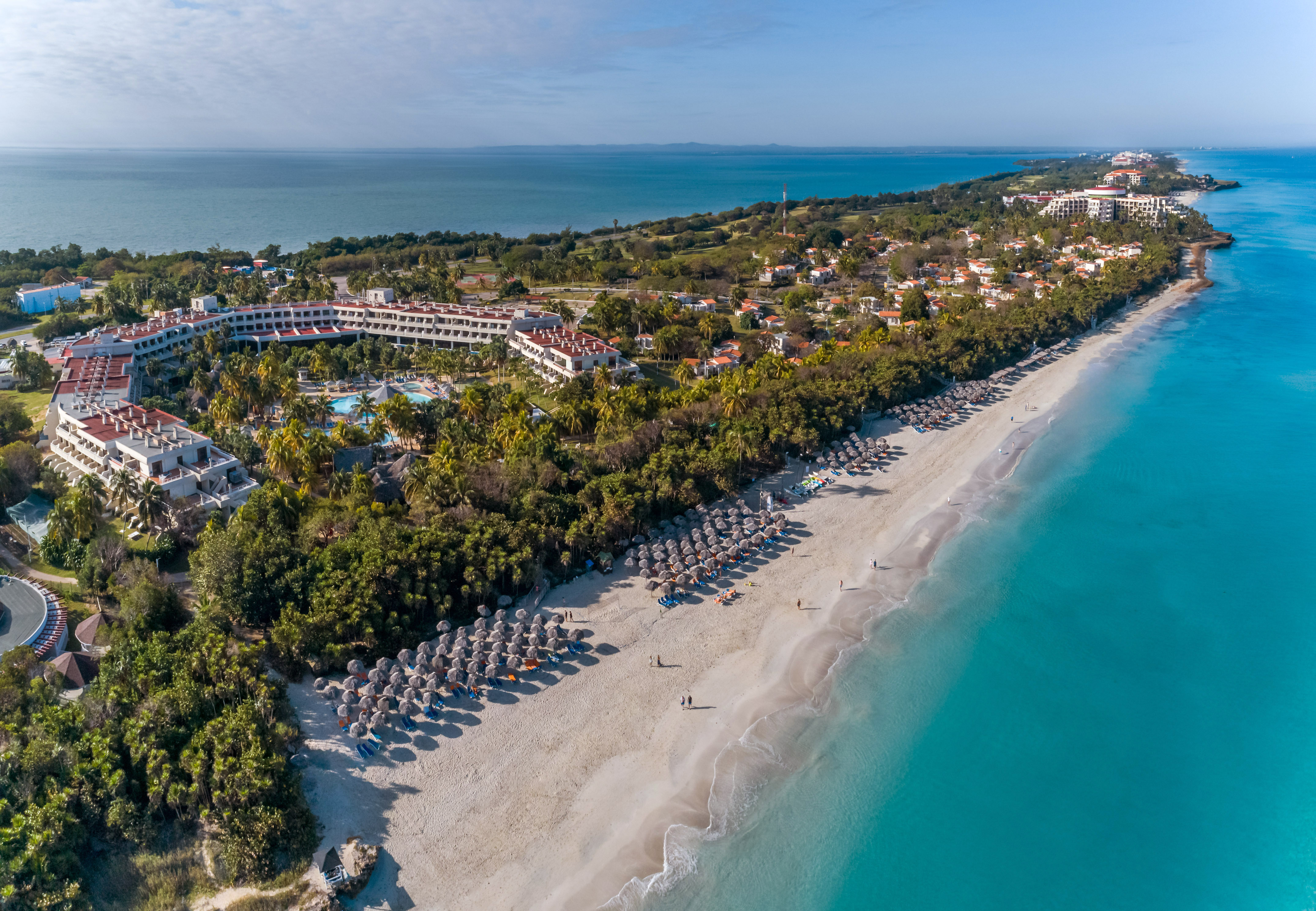 a beach with umbrellas and buildings and trees