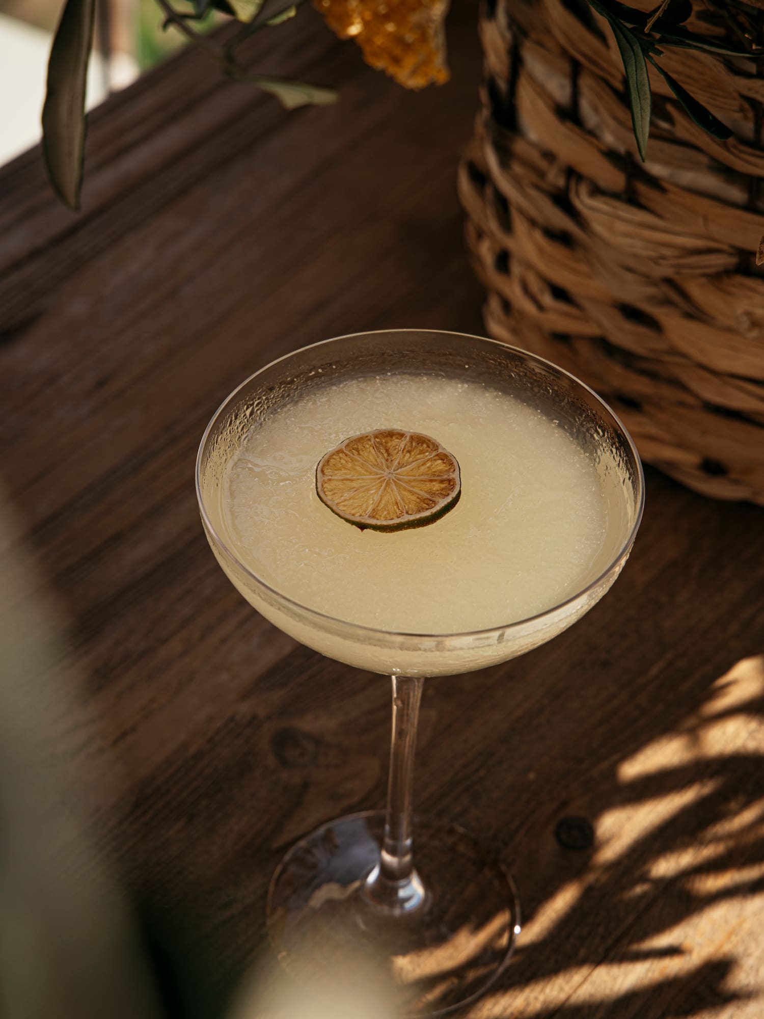 Light yellow cocktail with dried lime in coupe glass on rustic wooden table.