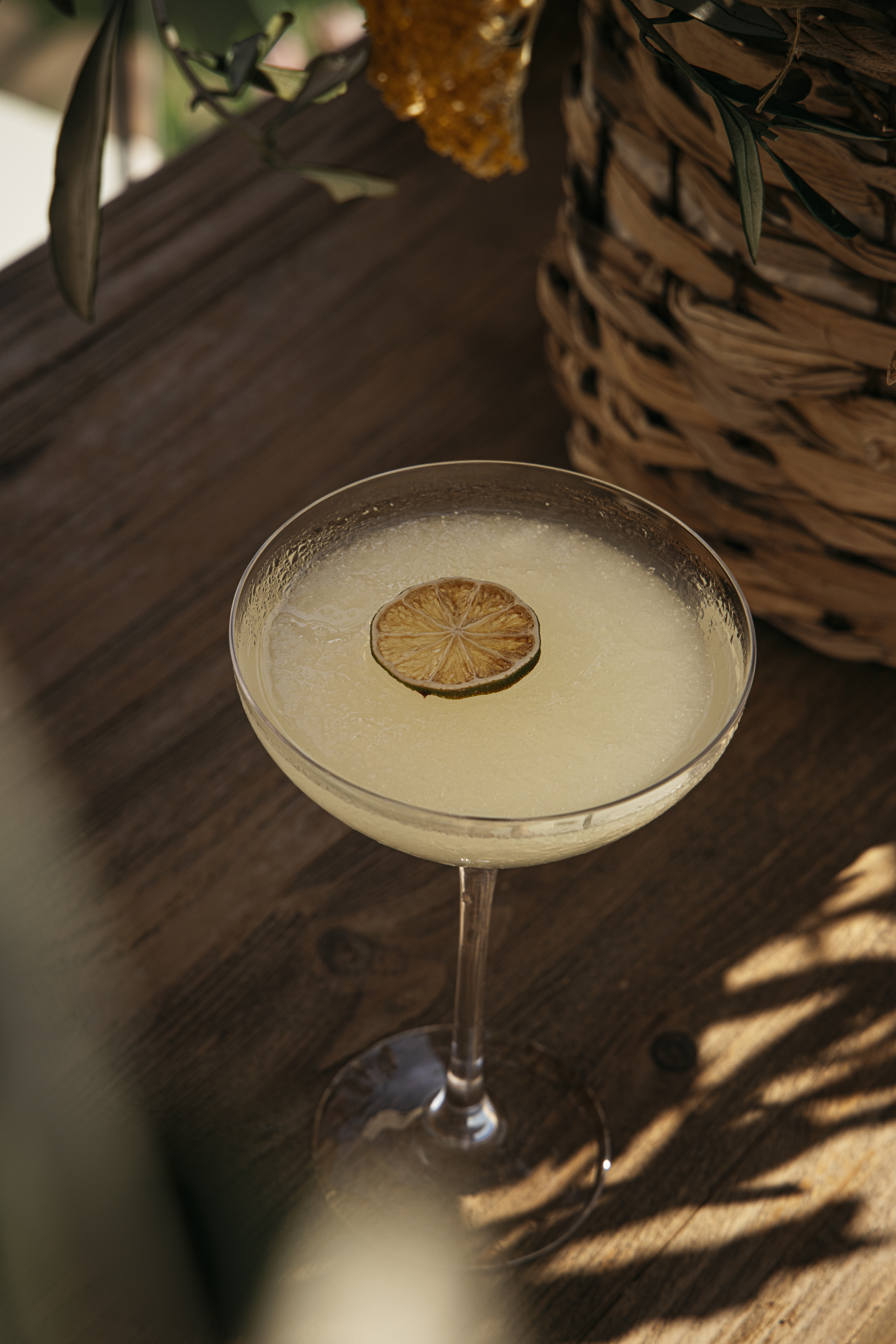 Light yellow cocktail with dried lime in coupe glass on rustic wooden table.