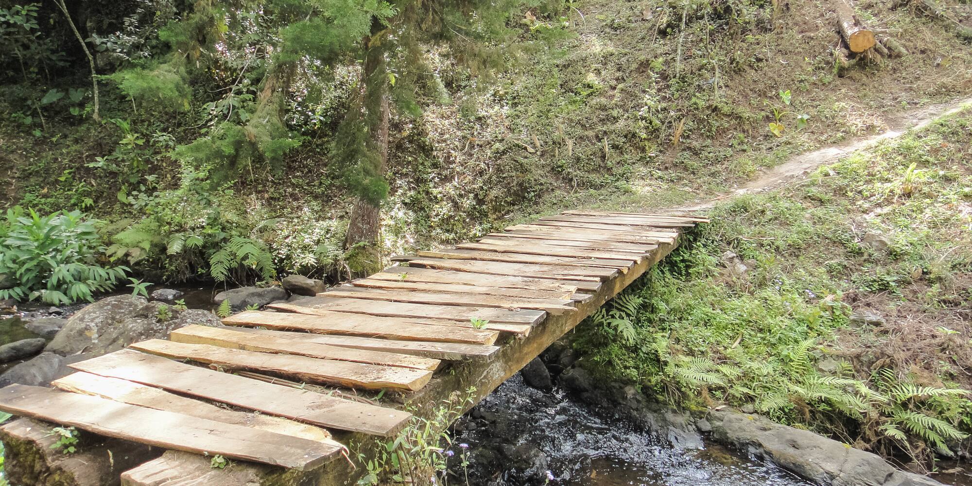 Puente de madera rústico sobre arroyo en bosque, sendero natural.
