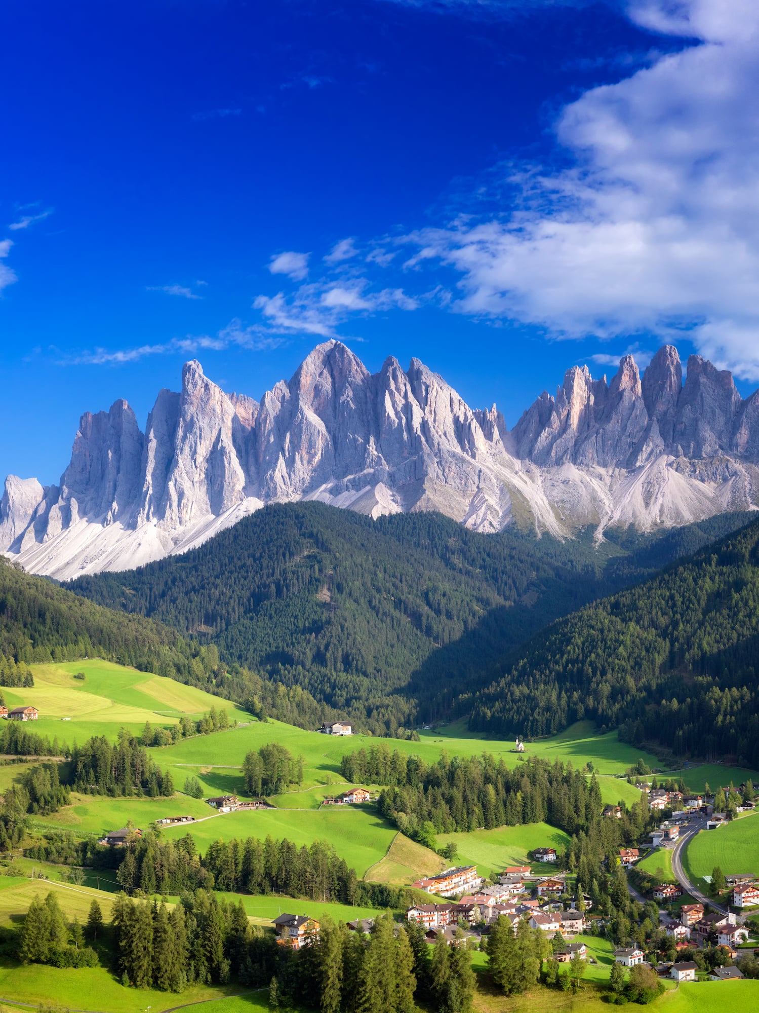 a landscape of green hills and mountains with Dolomites in the background