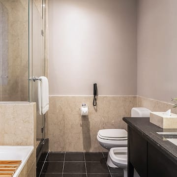 a bathroom with a sink and toilet