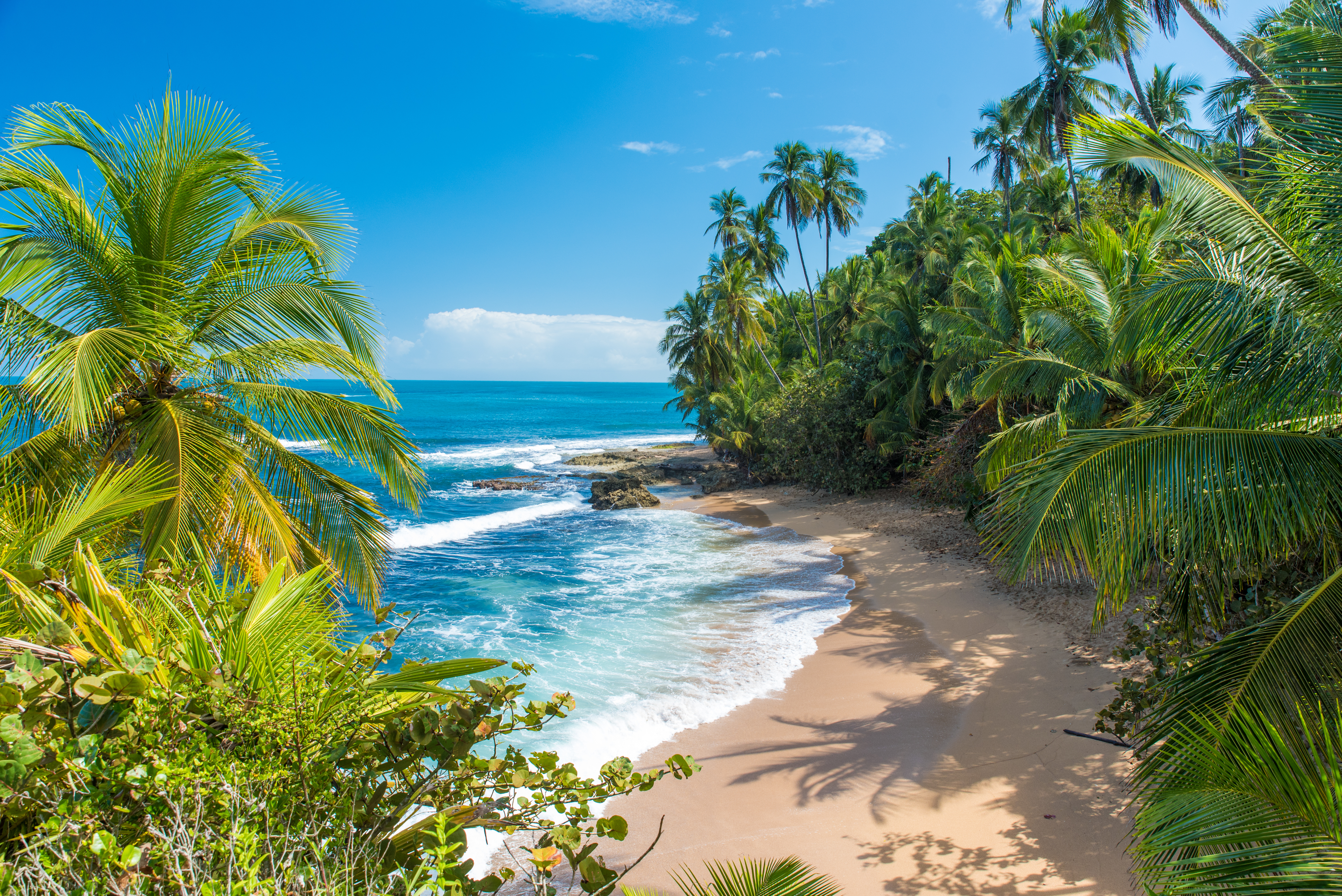 Playa tropical con palmeras, arena dorada y mar azul brillante.