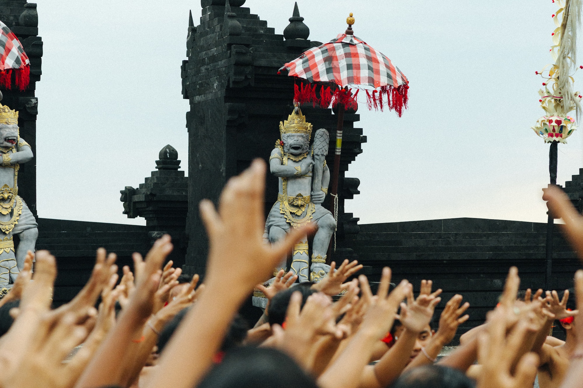 a group of people raising their hands