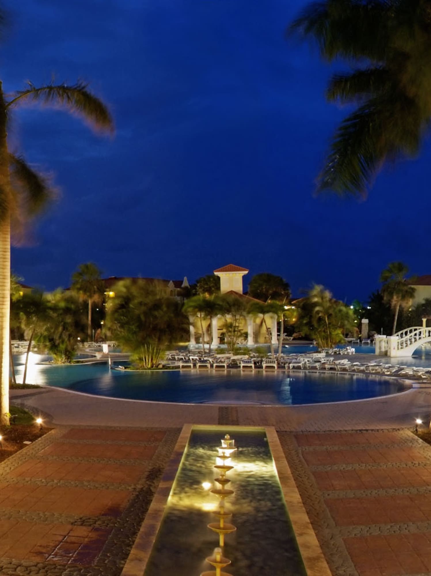 a pool with palm trees and a fountain