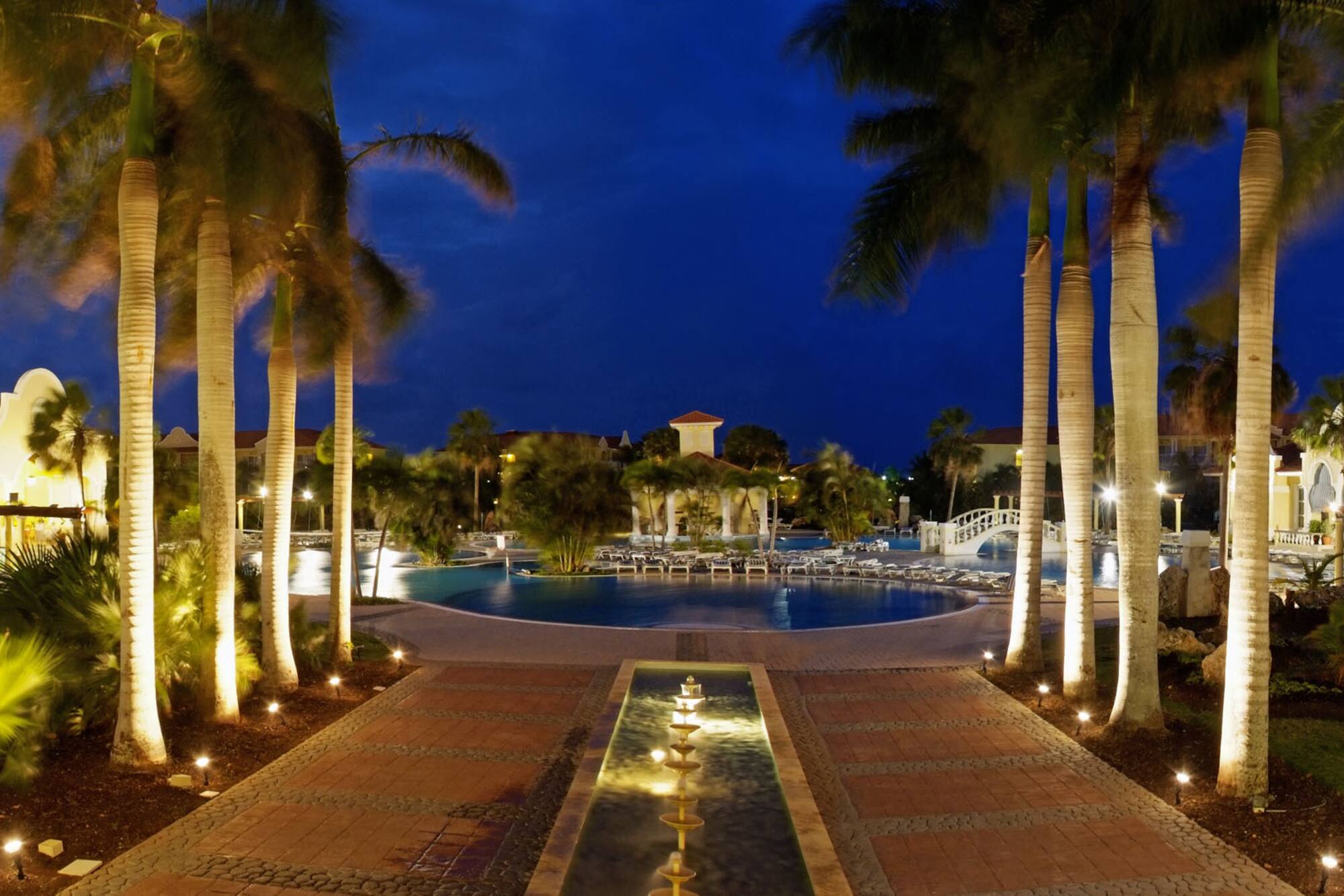 a pool with palm trees and a fountain