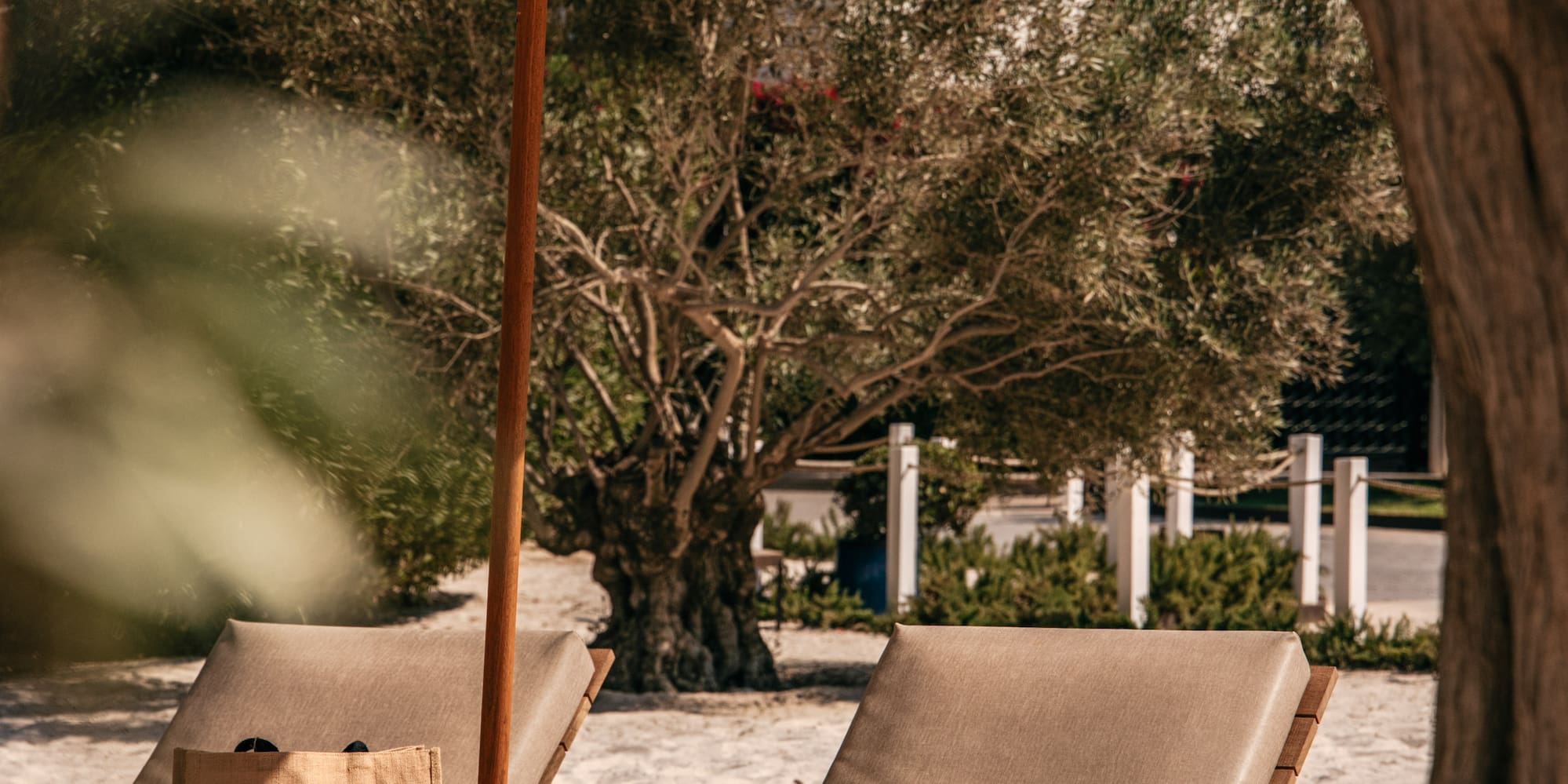 a beach chairs under an umbrella.