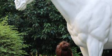 a woman looking at a statue of a horse