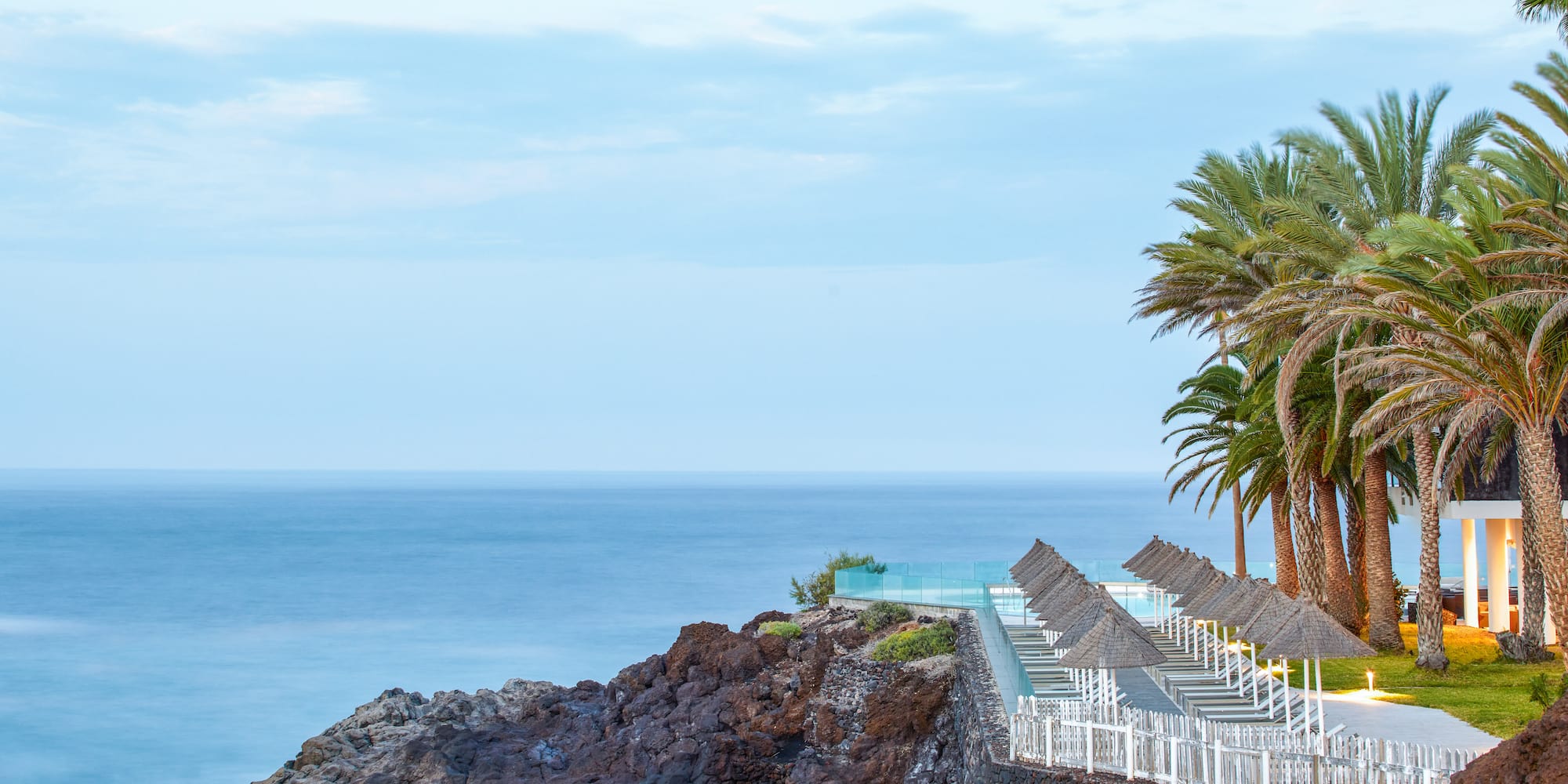 a beach with palm trees and a fence by the ocean